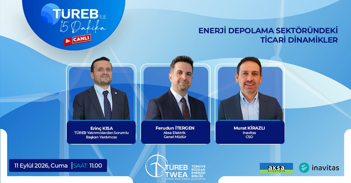 Enerji Depolama Sektöründeki Ticari Dinamikler